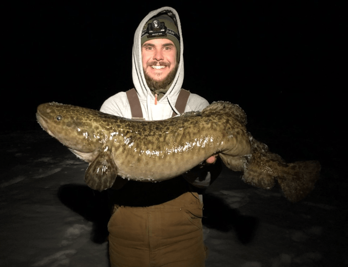 Fishing for Burbot by Joe Zentner – Great Lakes Angler