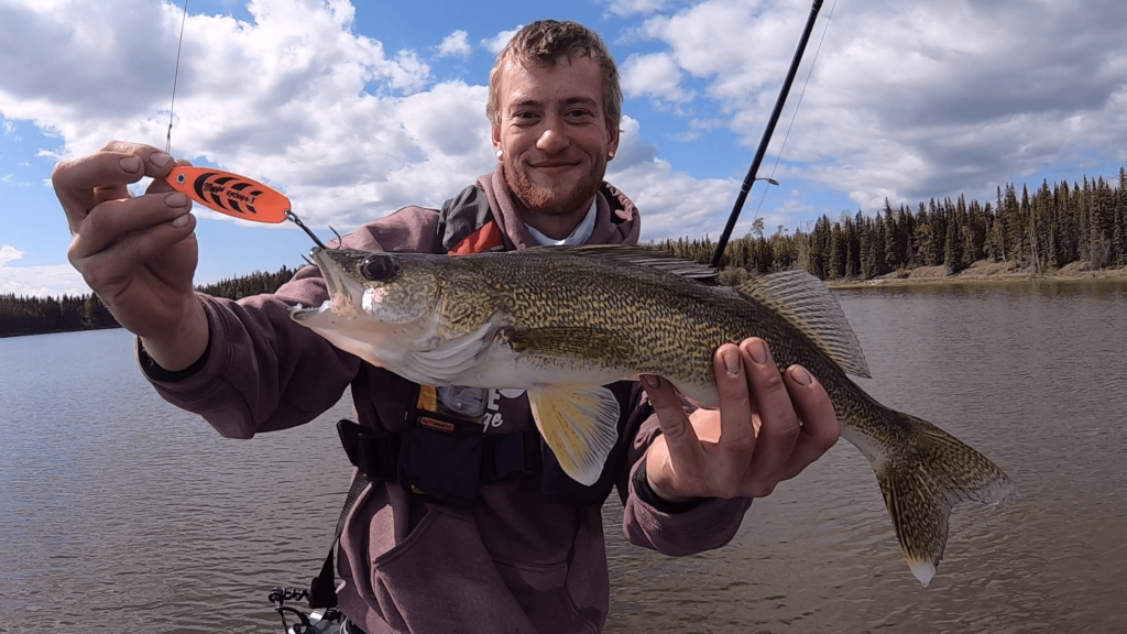 Incredible Drive-to Walleye Fishing at Paint Lake Lodge - Manitoba Hot ...