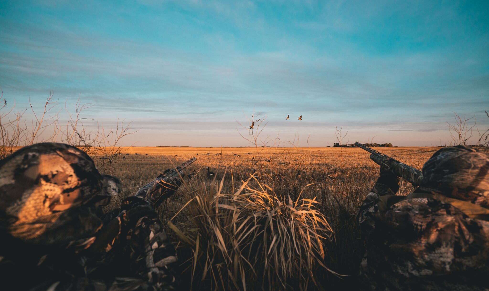 Birdtail Waterfowl Goose Hunting