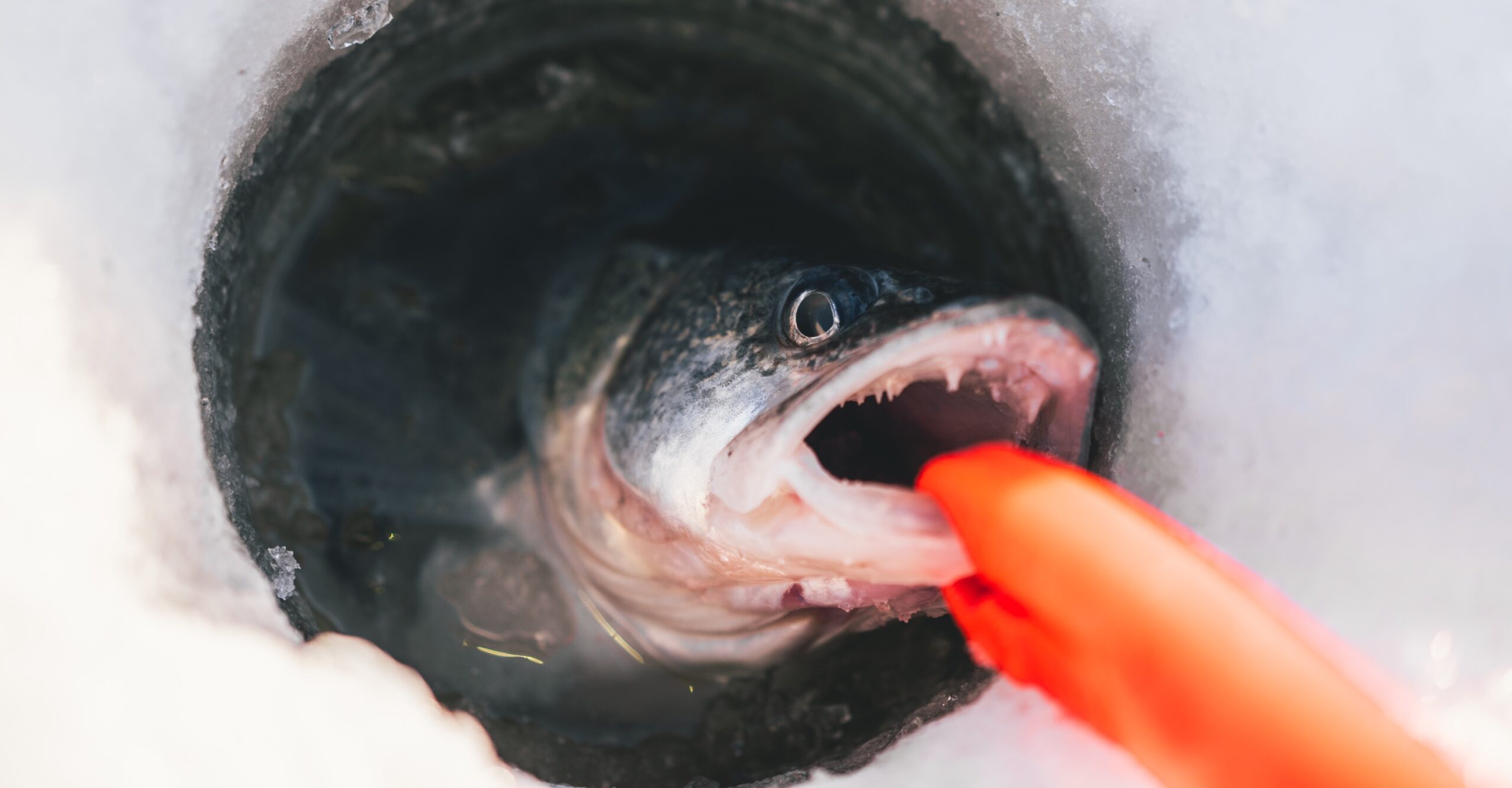 Fishing on lake Winnipeg